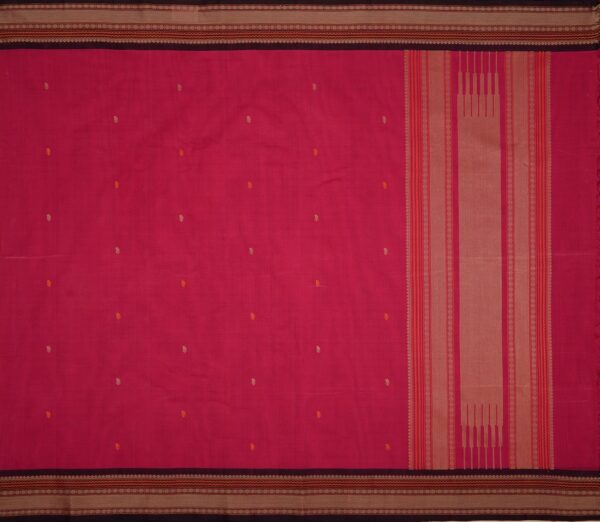 Elegant Kanchi Cotton Parutti Butta Small Border Weavemaya Bangalore India Maya Pink 8122012 1