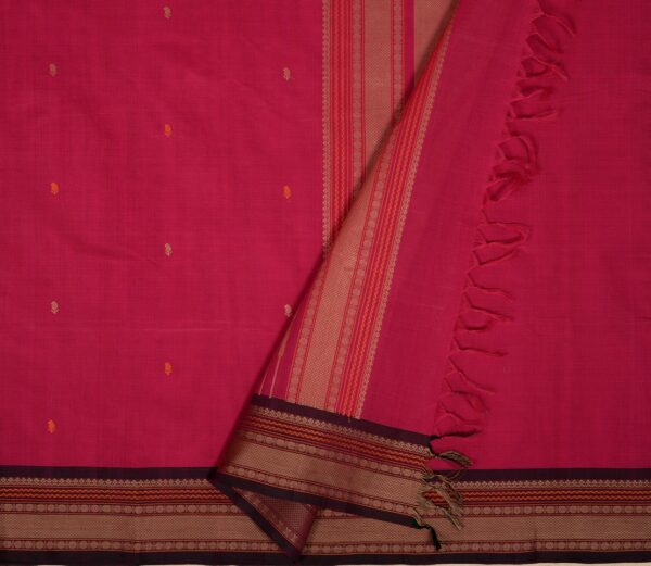 Elegant Kanchi Cotton Parutti Butta Small Border Weavemaya Bangalore India Maya Pink 8122012 2