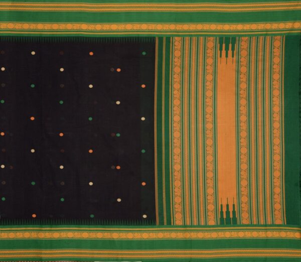 Elegant Kanchi Cotton Parutti Butta Korvai Temple Border Weavemaya Bangalore India Maya Black 1452306 1