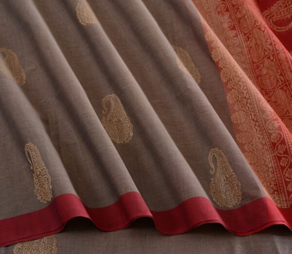 Elegant Kanchi Cotton Parutti Jute Butta Ganga Jamuna Weavemaya Bangalore India Maya Grey 35524137 4