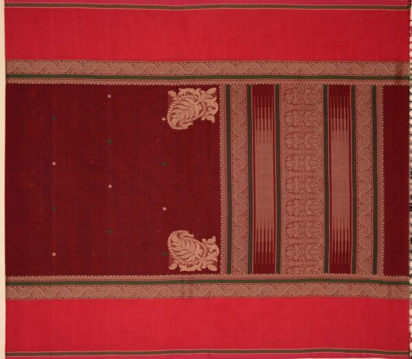 Elegant Kanchi Cotton Parutti Butta Tall Border Weavemaya Bangalore India Maya Arakku 8122032 1
