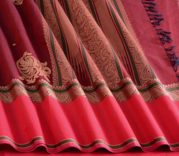 Elegant Kanchi Cotton Parutti Butta Tall Border Weavemaya Bangalore India Maya Arakku 8122032 5