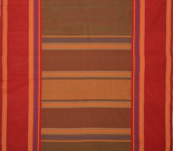 Elegant Kanchi Cotton Parutti Tall Border Weavemaya Bangalore India Maya Manthuzir 30002354 3